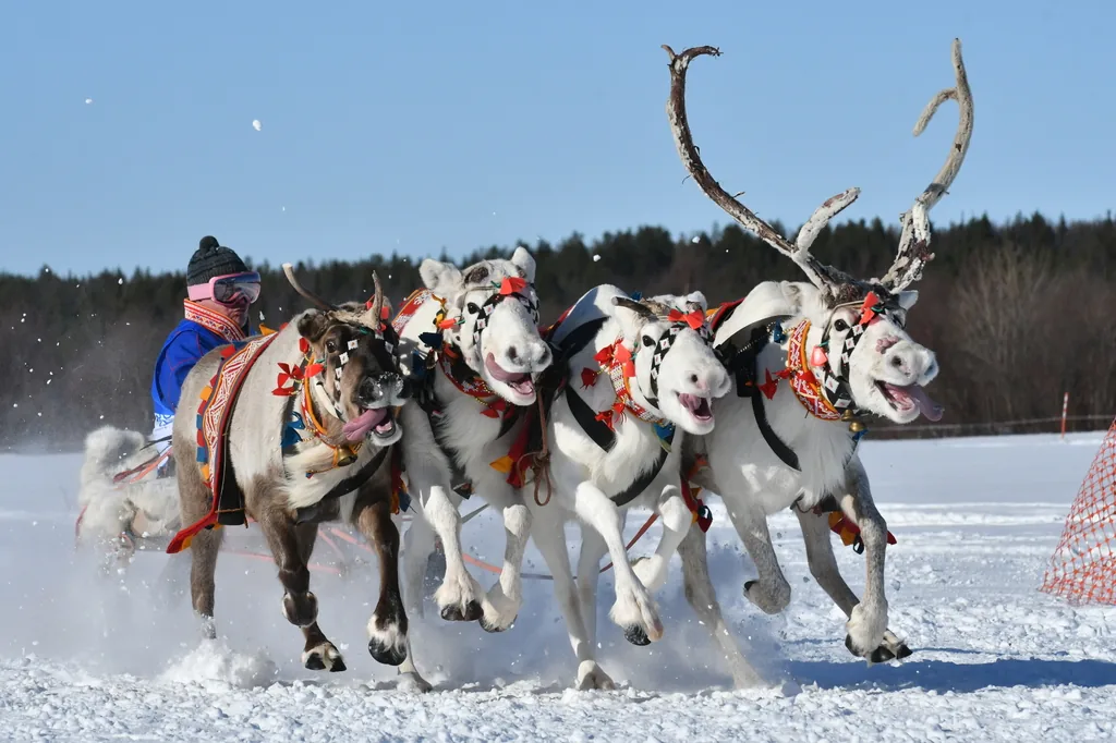 Праздник Севера