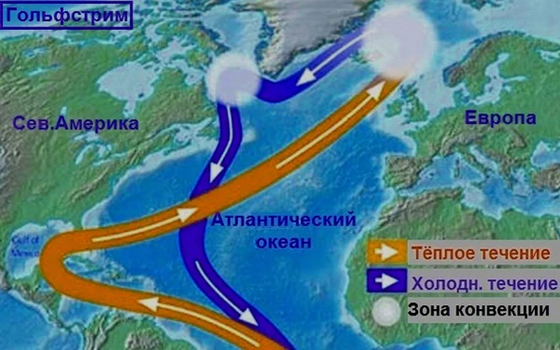 Гольфстрим